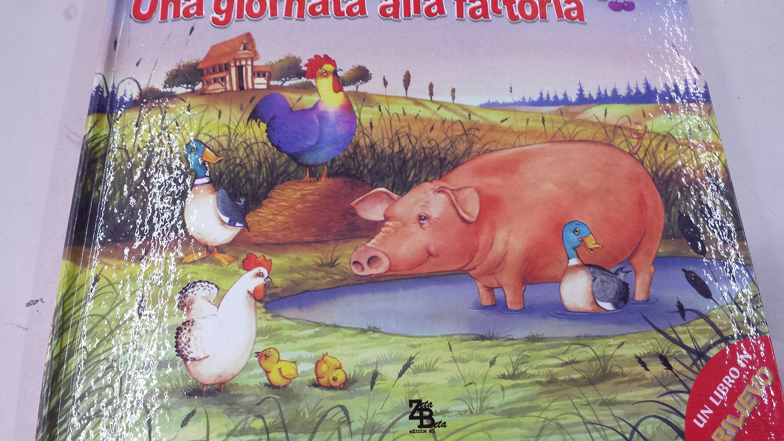 Una giornata alla fattoria book