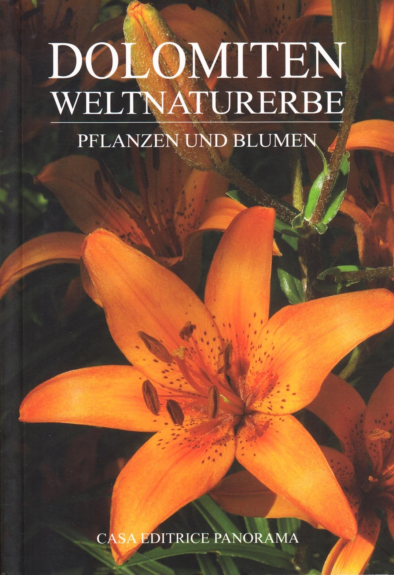 Dolomiten weltnaturerbe. Pflanzen und blumen Leisure, Home & Garden