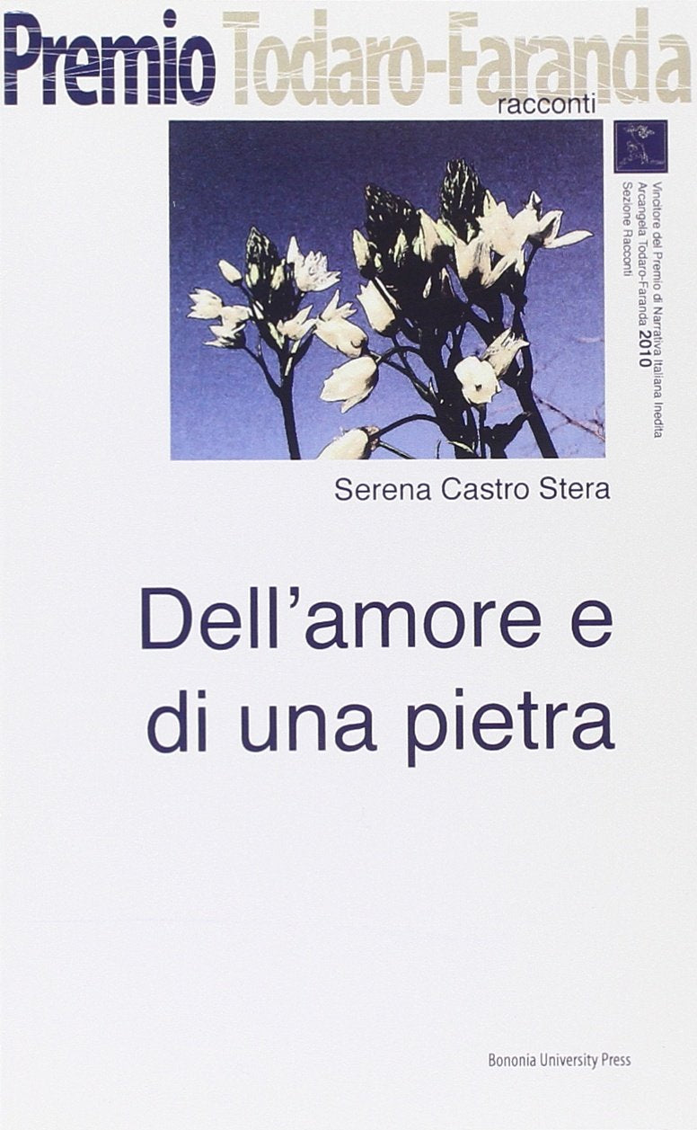 Dell'amore e di una pietra (Premio di narrativa italiana inedita) Contemporary literature