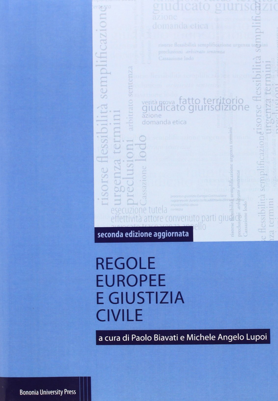 Regole europee e giustizia civile book