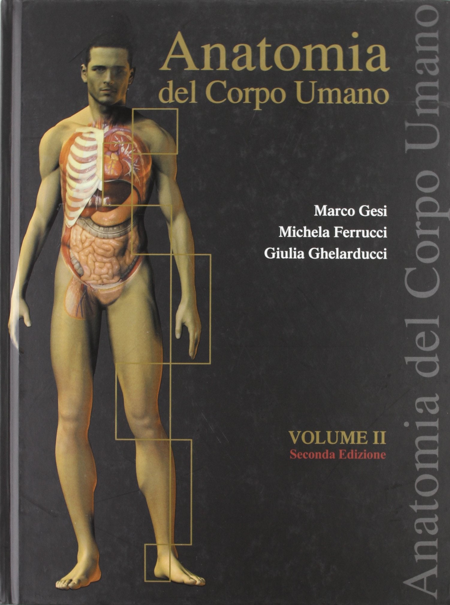 Anatomia del corpo umano (Vol. 2) Medicine