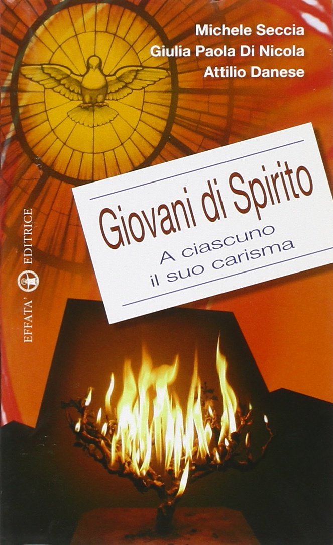 Giovani di spirito. A ciascuno il suo carisma book