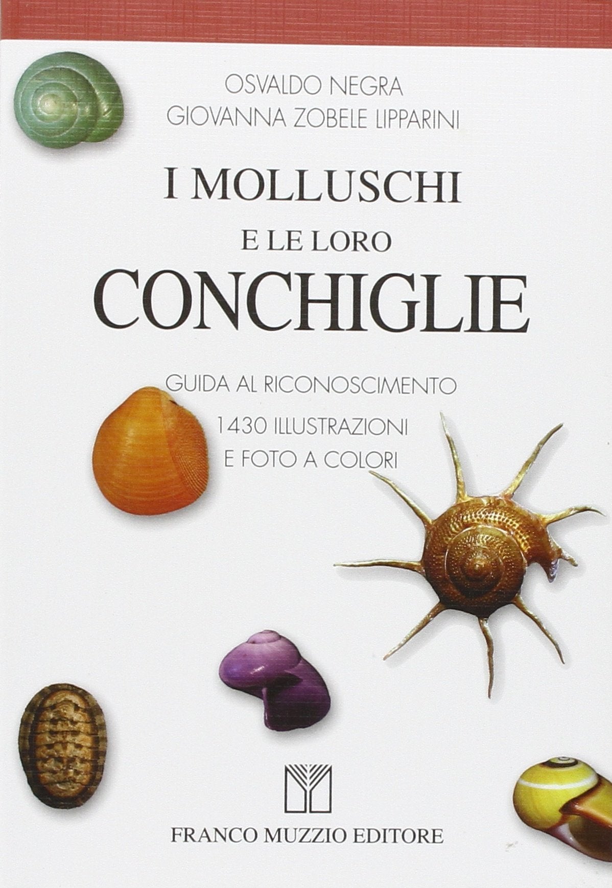 Guida ai rapaci d'Europa, Nord Africa e Medio Oriente book