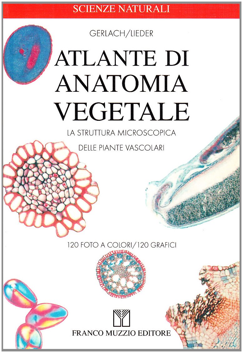Atlante di anatomia vegetale. La struttura microscopica delle piante vascolari book