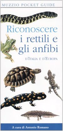 Riconoscere i rettili e gli anfibi d'Italia e d'Europa (Muzzio pocket guide) Leisure, Home & Garden