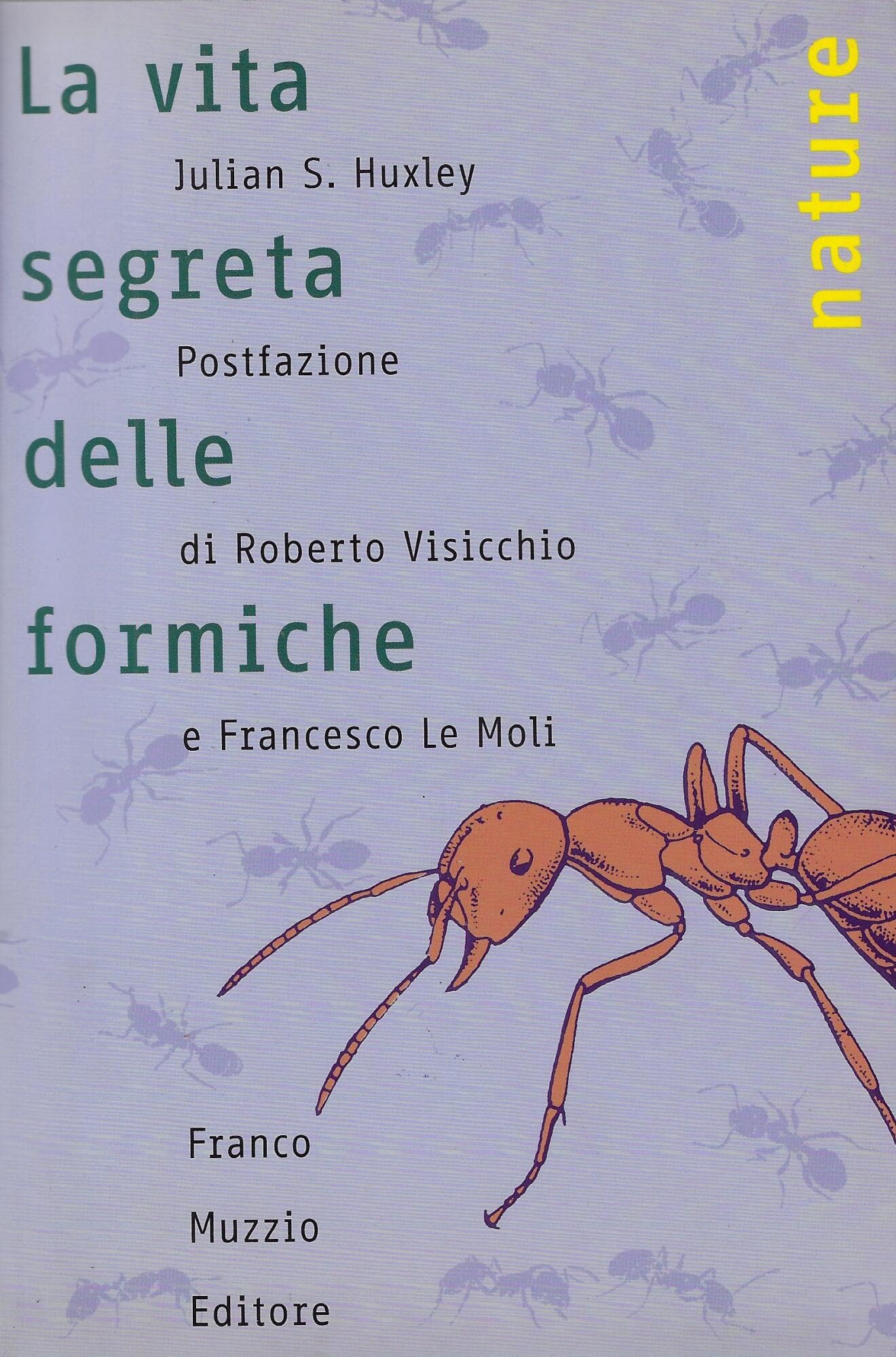 La vita segreta delle formiche book