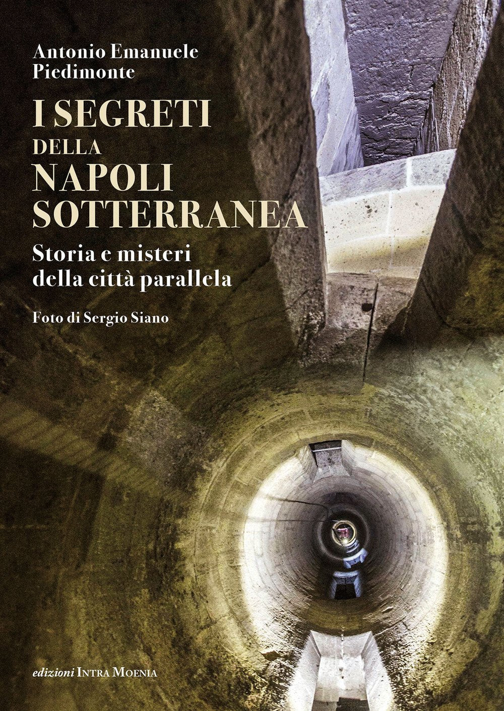 I segreti della Napoli sotterranea. Storia e misteri della città parallela book