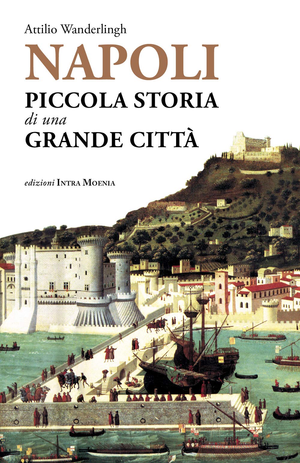 Napoli. Piccola storia di una grande città Leisure, Home & Garden