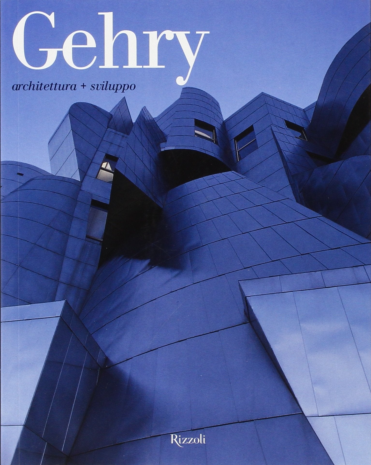 Gehry. Architettura + sviluppo book