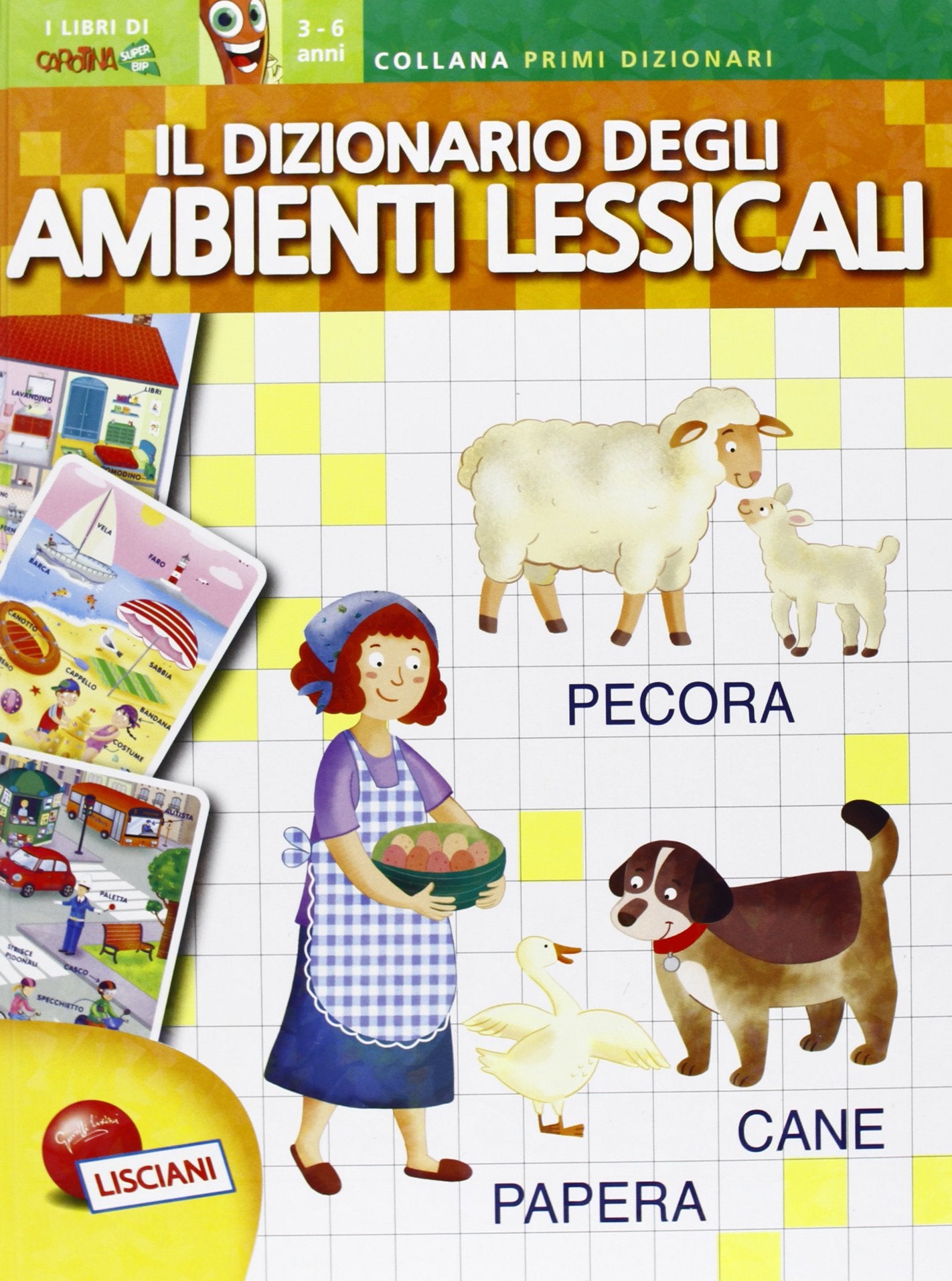 Carotina. Il dizionario degli ambienti lessicali book