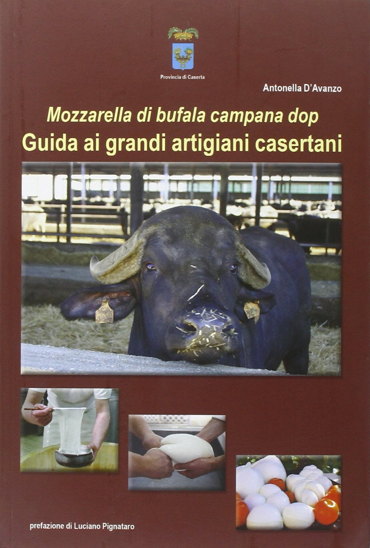 Mozzarella di bufala campana dop. Guida ai grandi artigiani casertani Business, Finance & Career