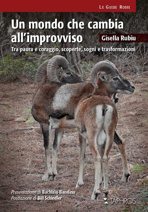 Un mondo che cambia all'improvviso. Tra paura e coraggio, scoperte, sogni e trasformazioni (Le guide rosse) Books