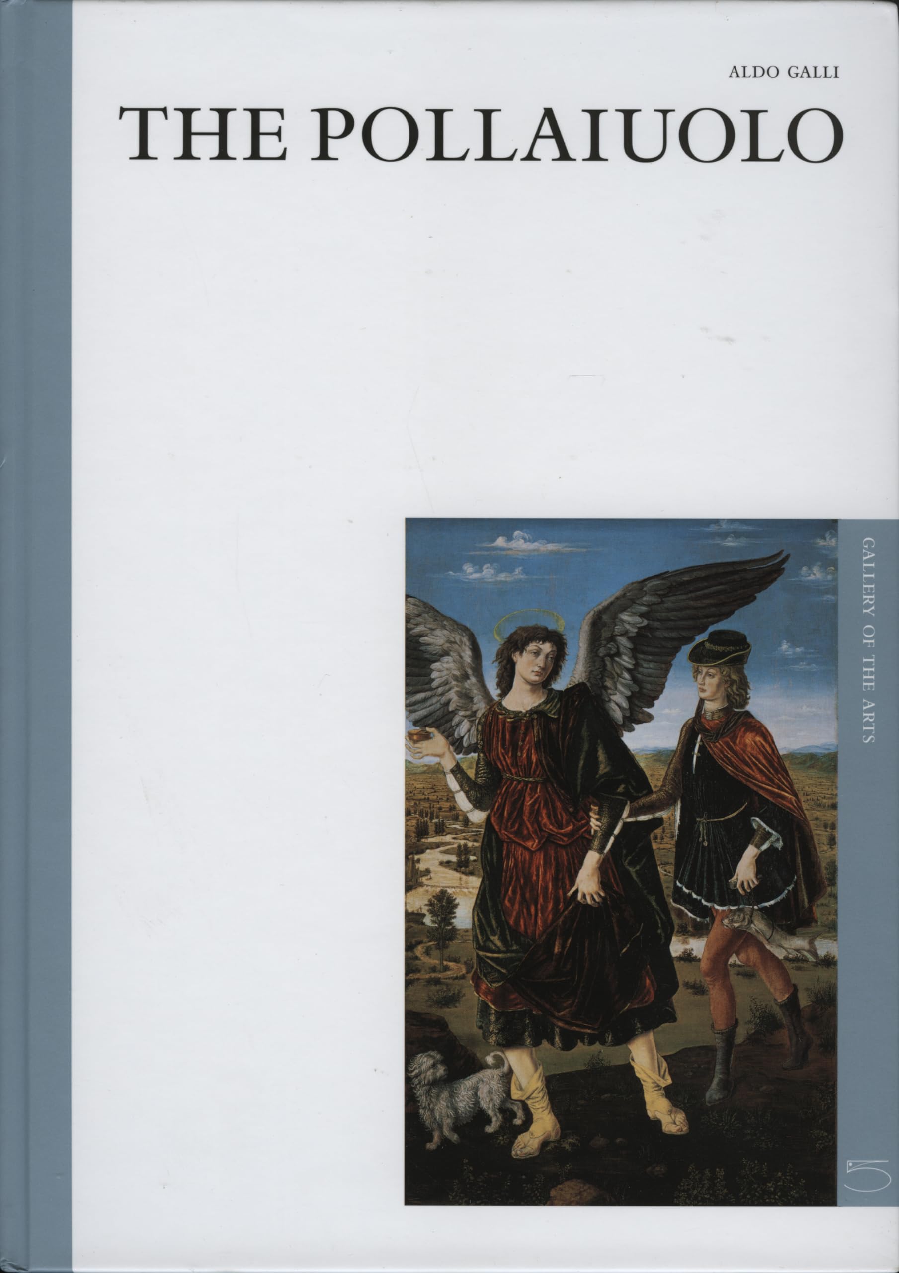 The Pollaiuolo: The Art Gallery Series (Gallery of the Arts) Art & Literature