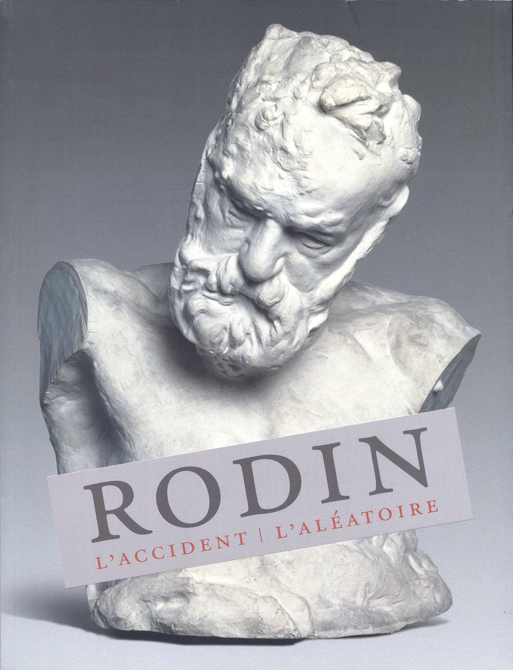 Rodin: L'accident. L'aléatoire book