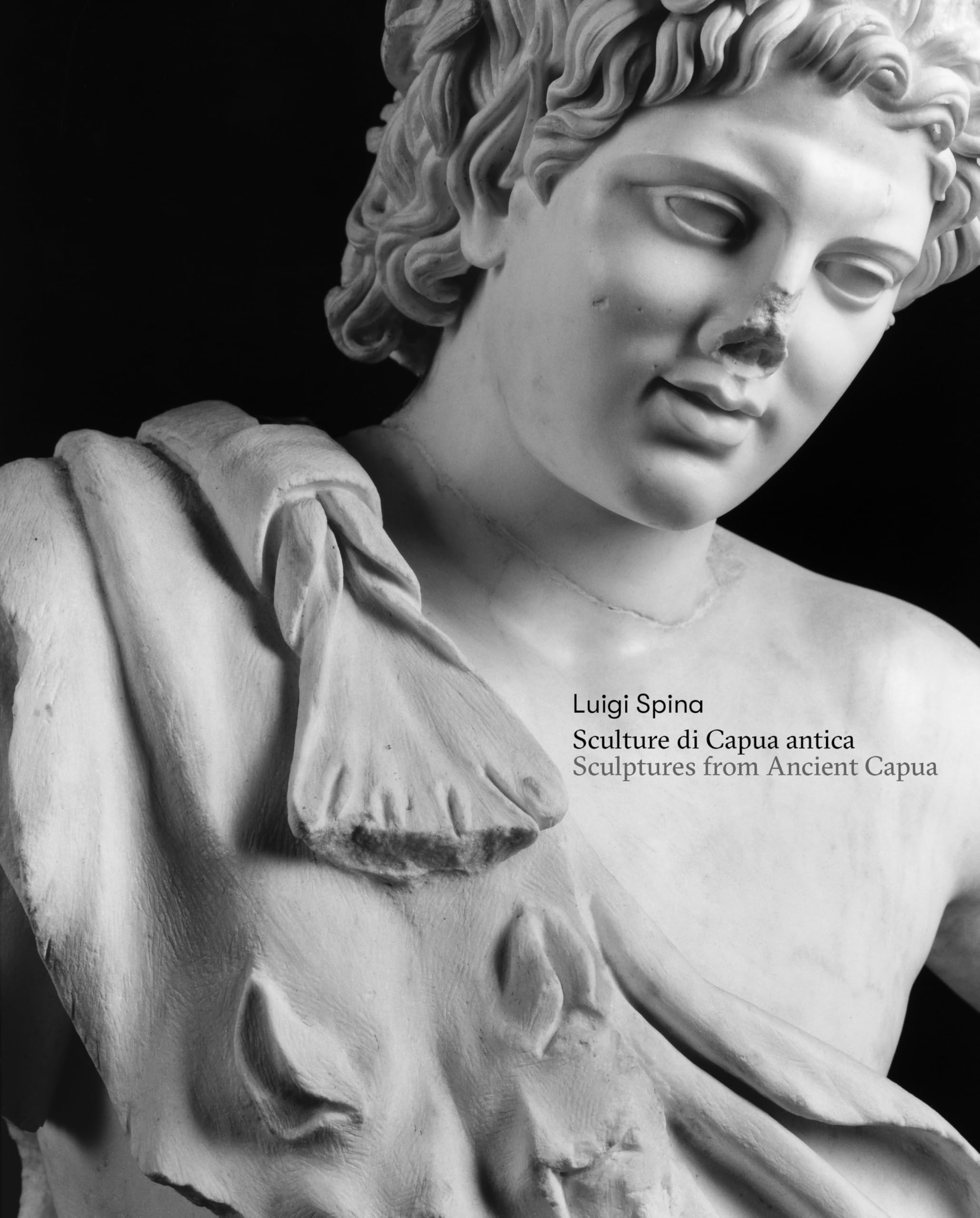 Sculture di Capua antica-Sculptures from Ancient Capua. Ediz. bilingue book