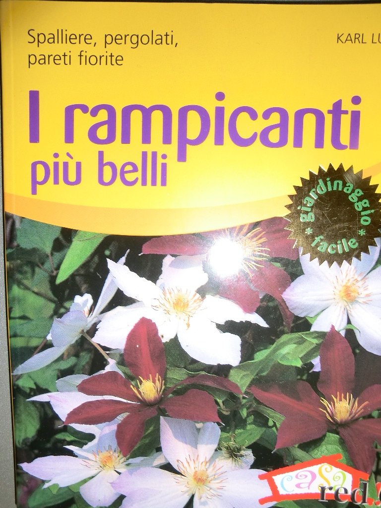 I rampicanti più belli. Spalliere, pergolati, pareti fiorite. Ediz. illustrata book