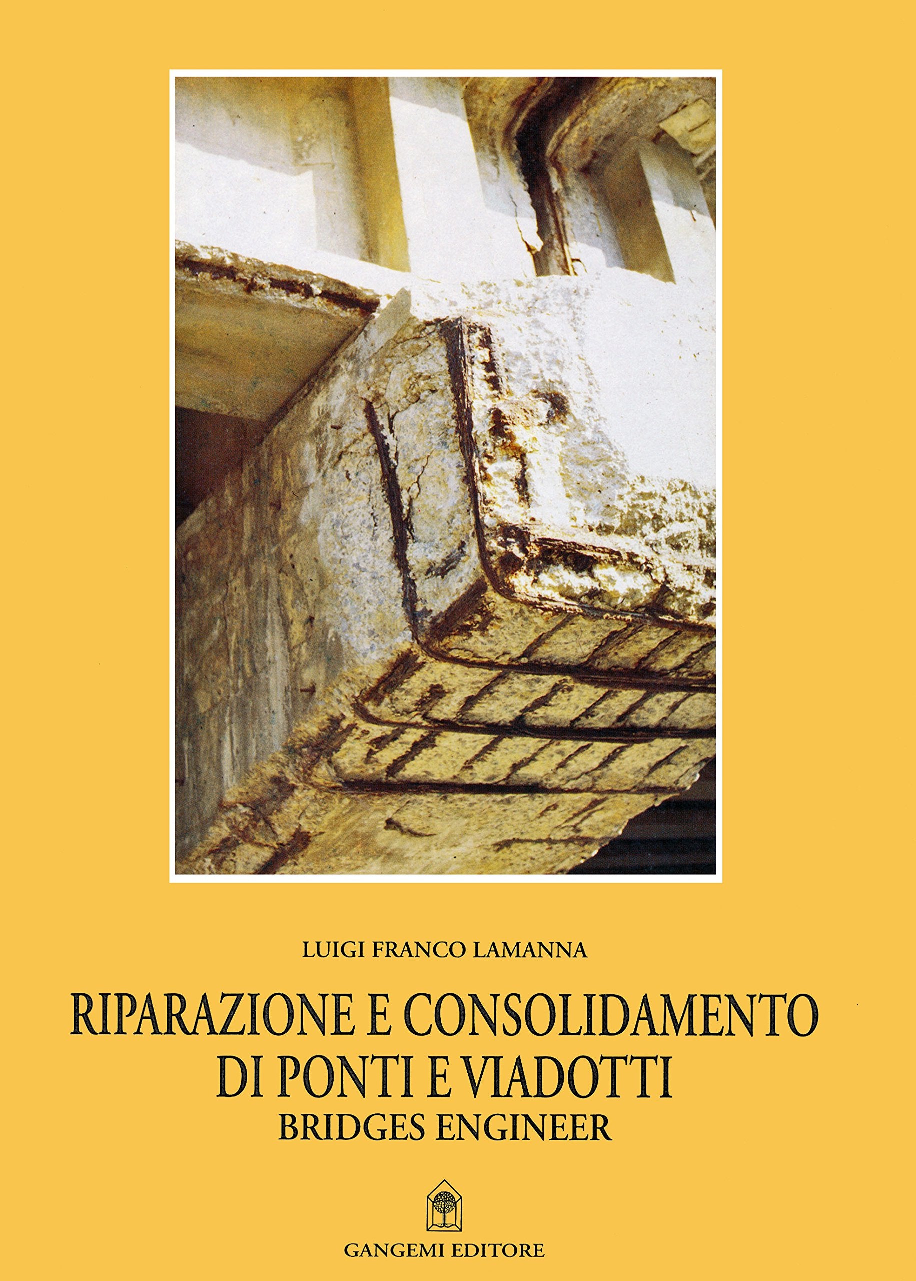 Riparazione e consolidamento di ponti e viadotti =: Bridges engineer book