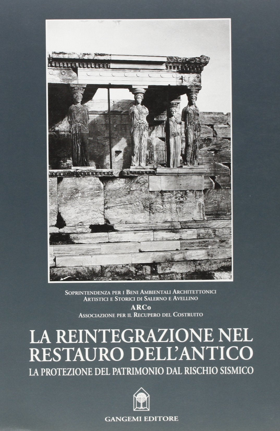 La reintegrazione nel restauro dell'antico. La protezione del patrimonio dal rischio sismico book