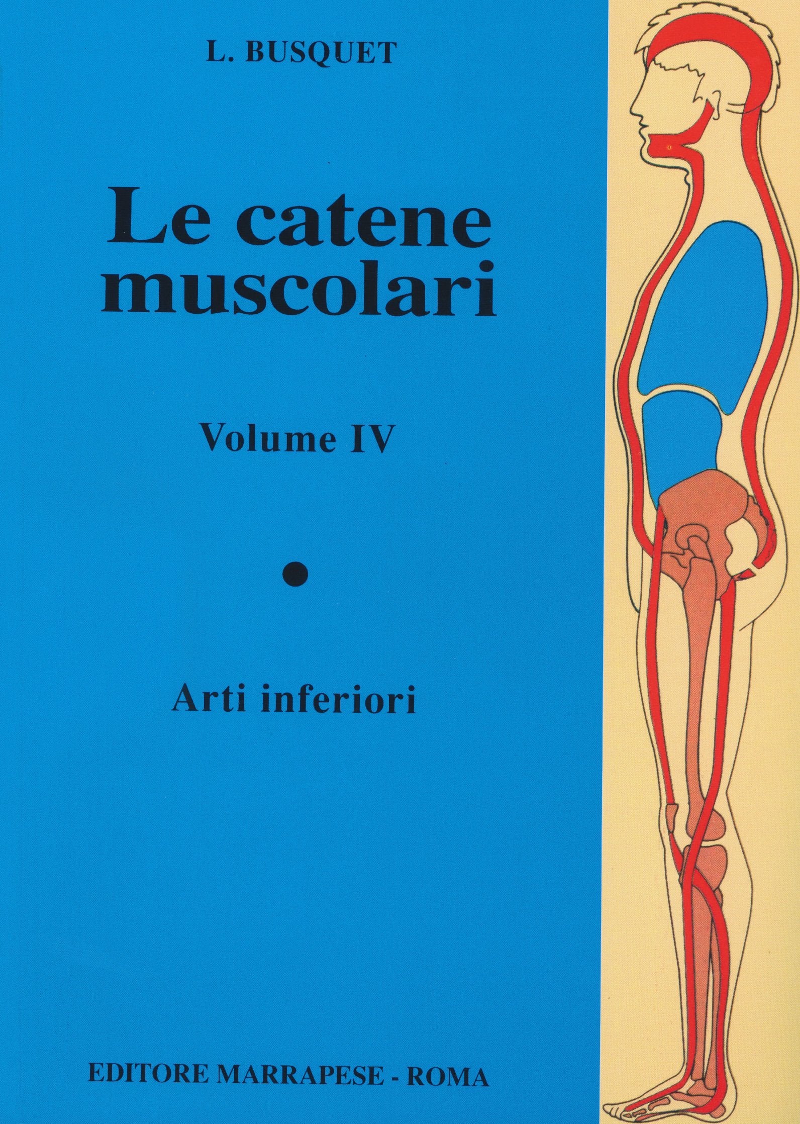 Le catene muscolari. Arti inferiori Medicine