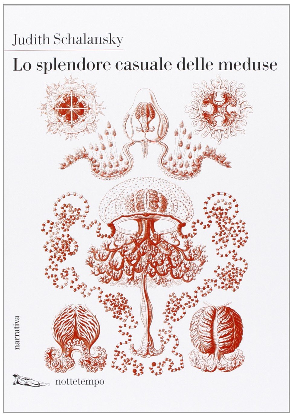 Lo splendore casuale delle meduse (Narrativa) Contemporary literature