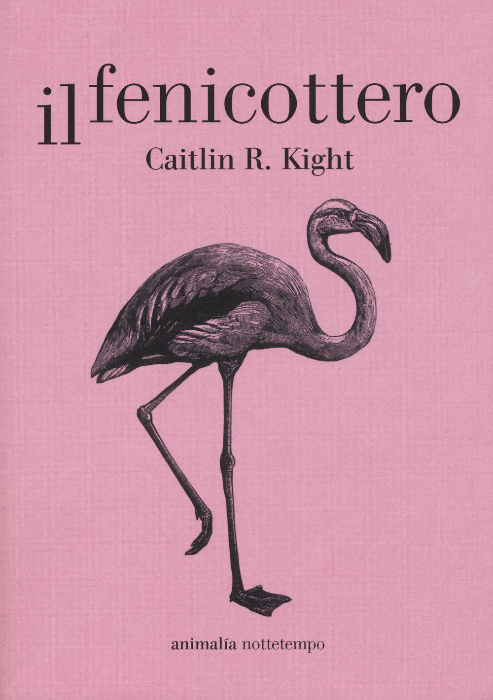 Il fenicottero book