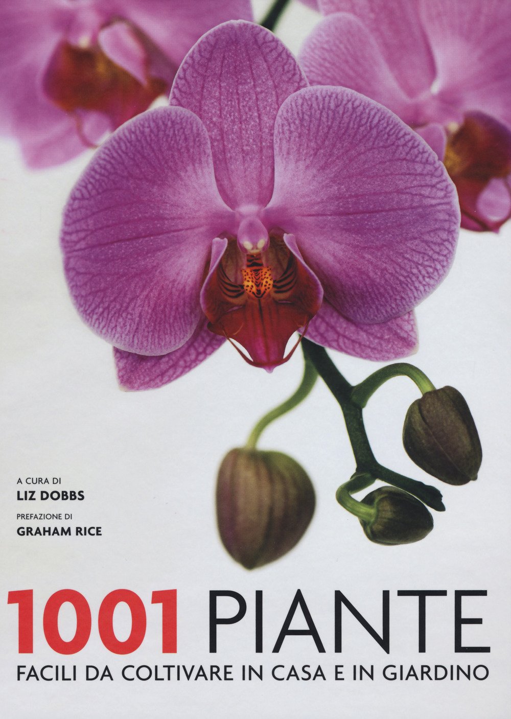 1001 piante facili da coltivare per la casa e il giardino book