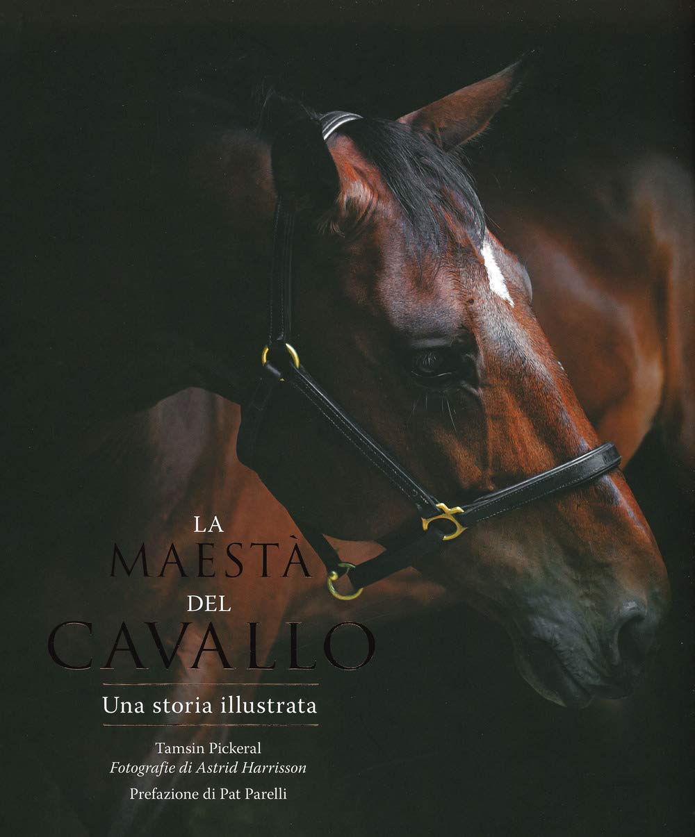 La maestà del cavallo. Una storia illustrata. Ediz. illustrata Pets