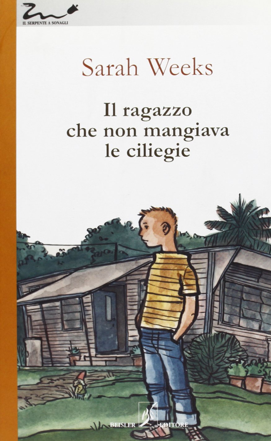 Il ragazzo che non mangiava le ciliegie book