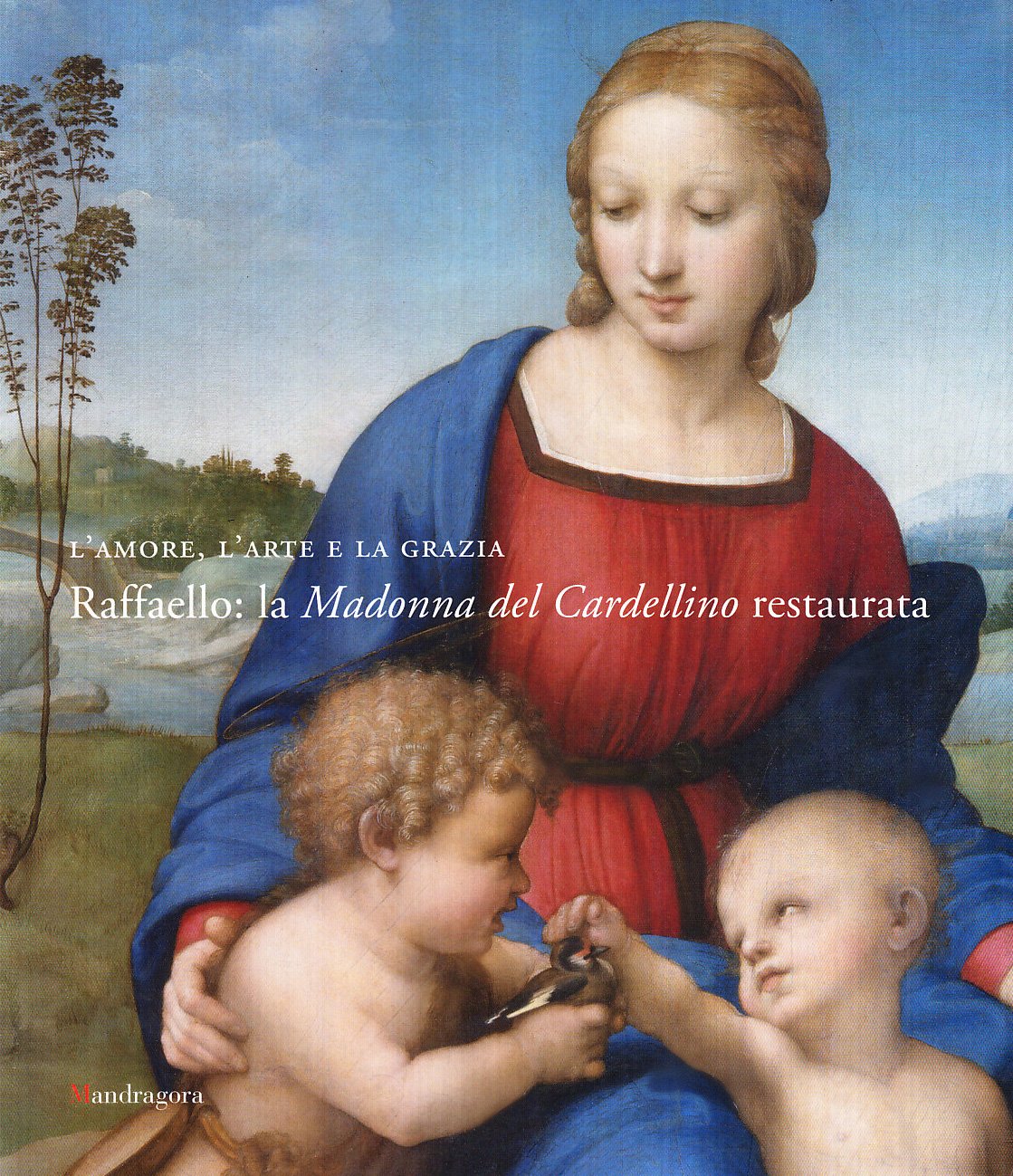 L'amore, l'arte e la grazia. Raffaello: la Madonna del Cardellino restaurata. Catalogo della mostra (Firenze, 29 novembre 2008-31 marzo 2009). Ediz. illustrata Film, Art & Culture