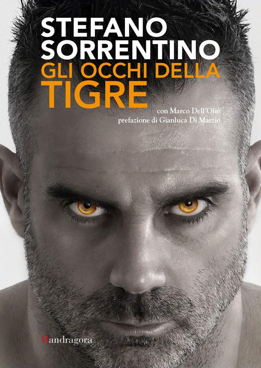 Gli occhi della tigre book