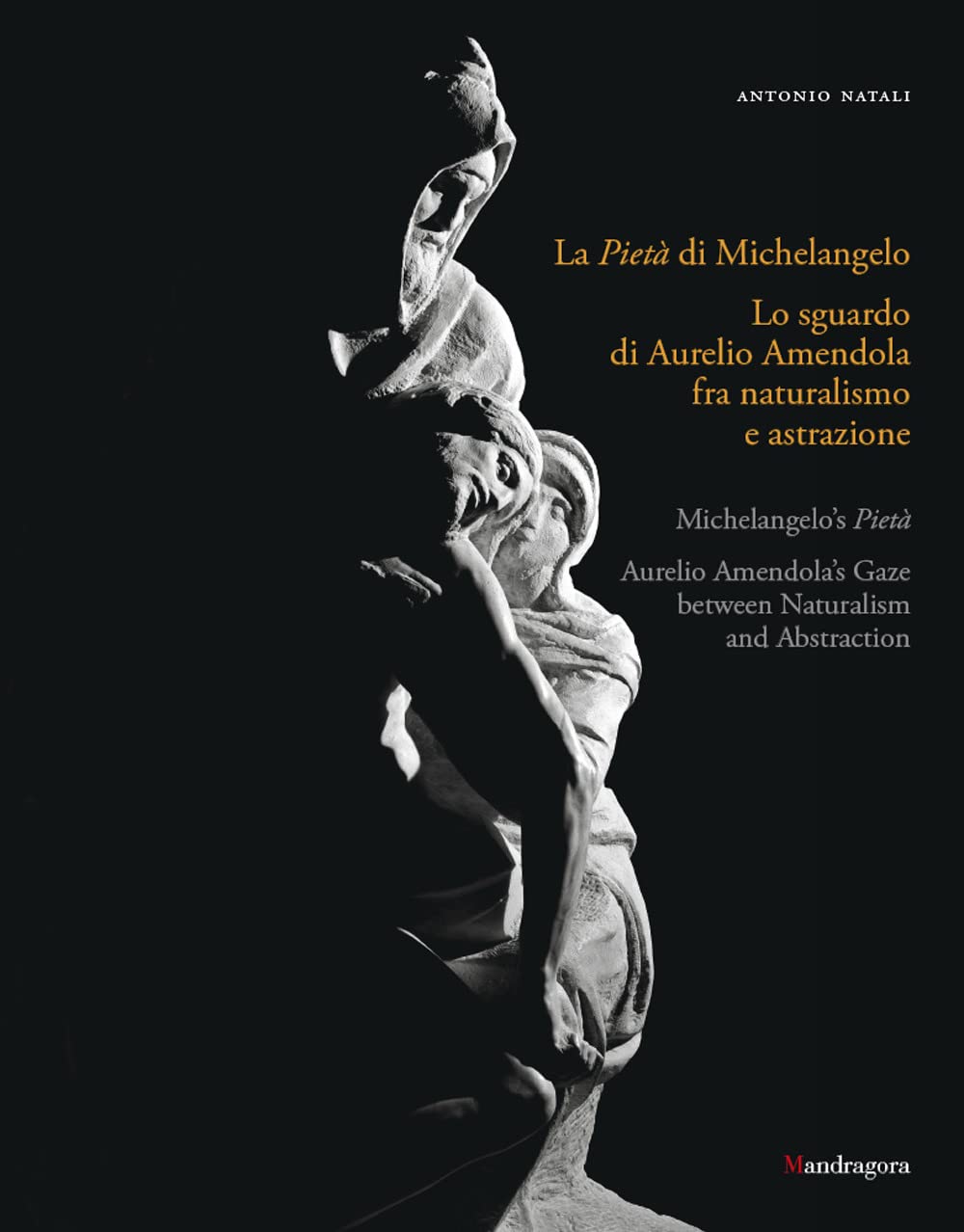 La Pietà di Michelangelo. Lo sguardo d'Aurelio Amendola fra naturalismo e astrazione. Catalogo della mostra (Firenze, 8 settembre 2022-9 gennaio 2023). Ediz. italiana e inglese book