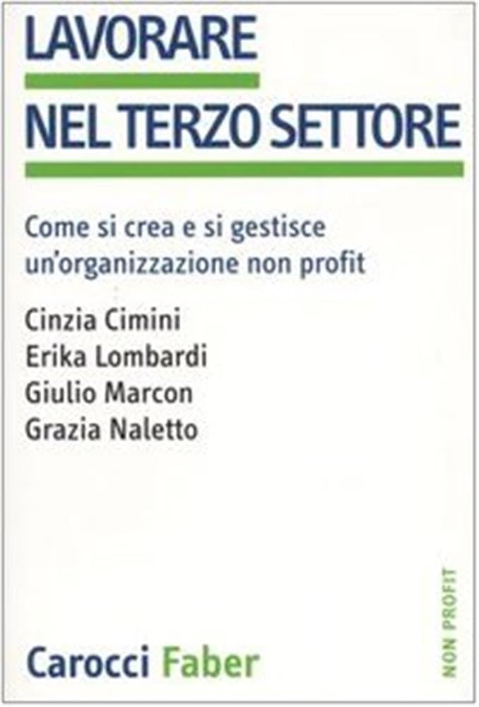 Lavorare nel terzo settore. Come si crea e si gestisce un'organizzazione non profit Social Sciences