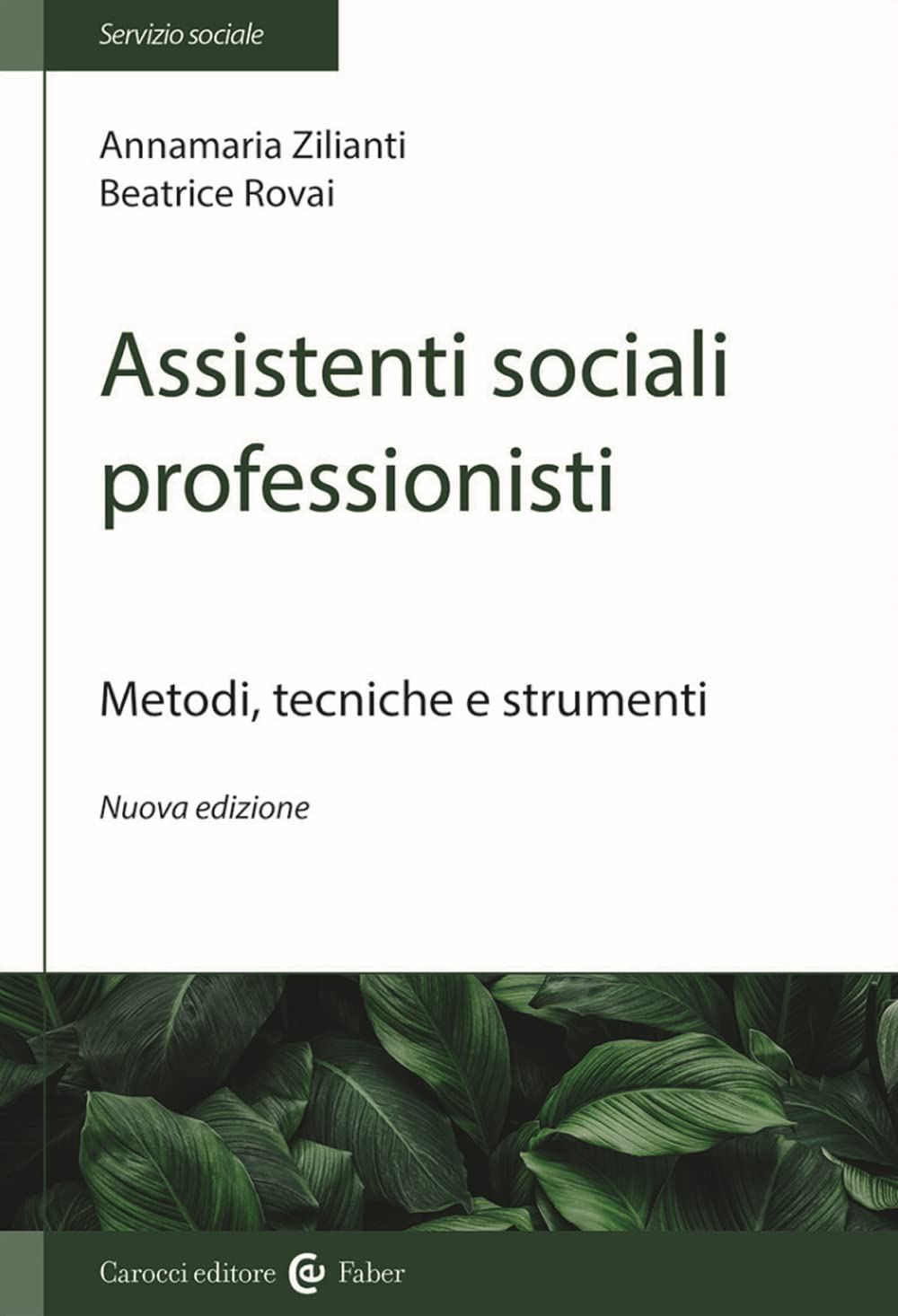 Assistenti sociali professionisti. Metodologia del lavoro sociale book