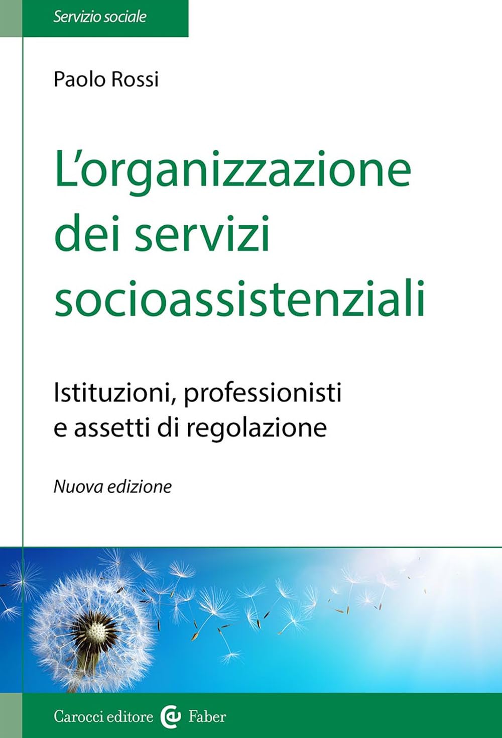 L'organizzazione dei servizi socioassistenziali. Istituzioni, professionisti e assetti di regolazione. Nuova ediz. (Il servizio sociale) Social Sciences