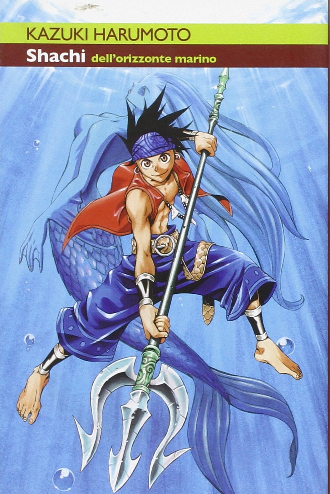 Shachi dell'orizzonte marino (Ronin manga) Manga