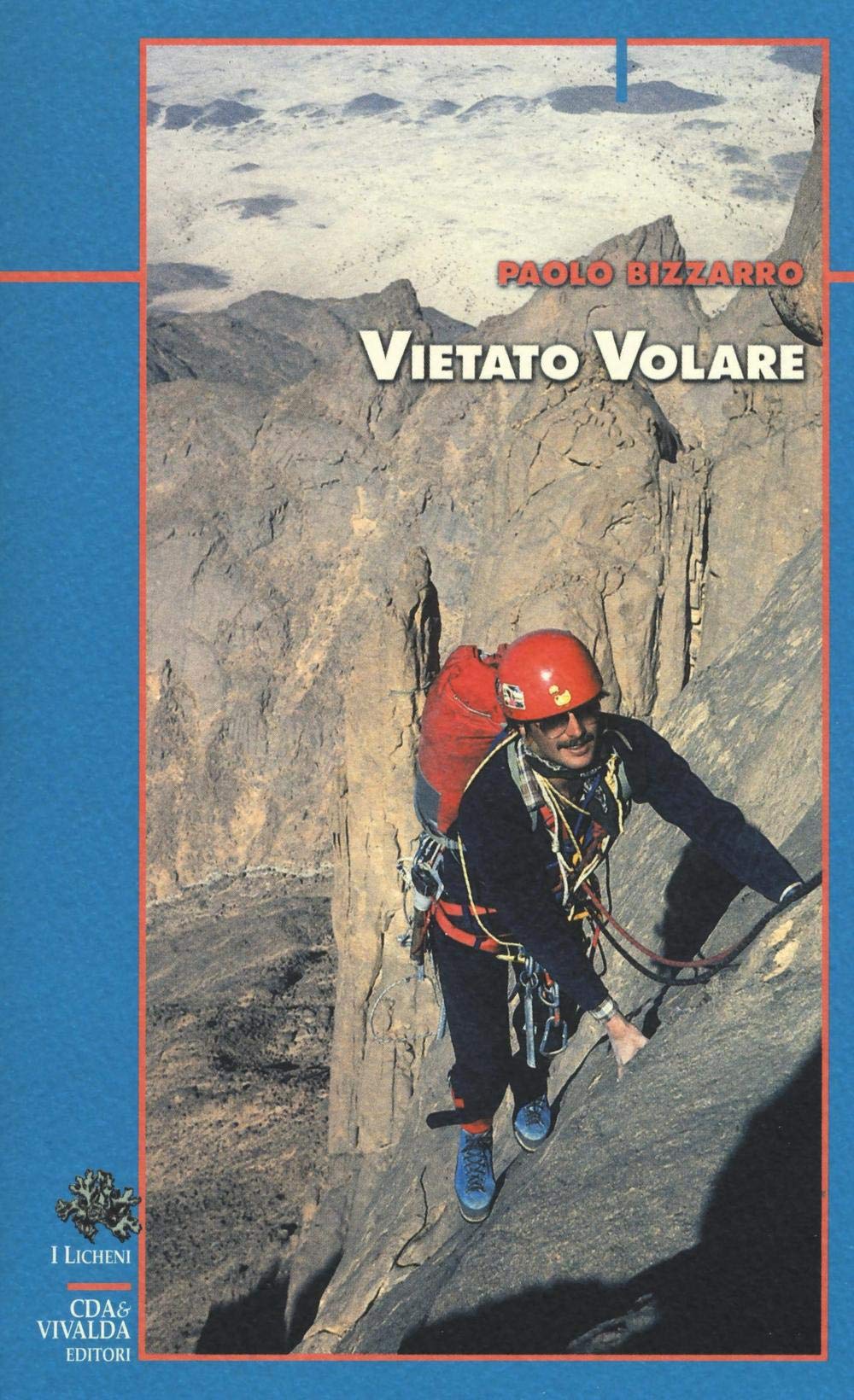 Vietato volare book
