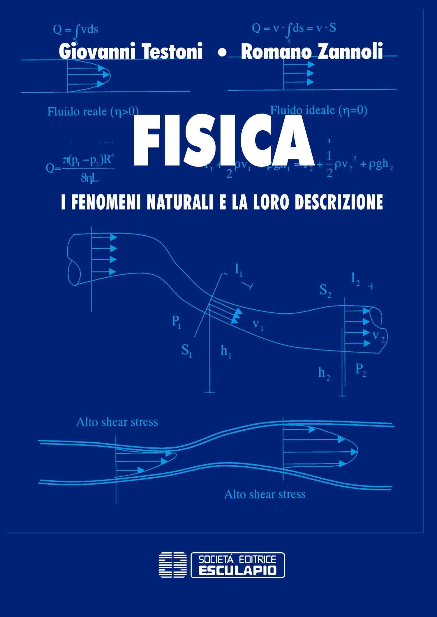 Fisica. I fenomeni naturali e la loro descrizione book
