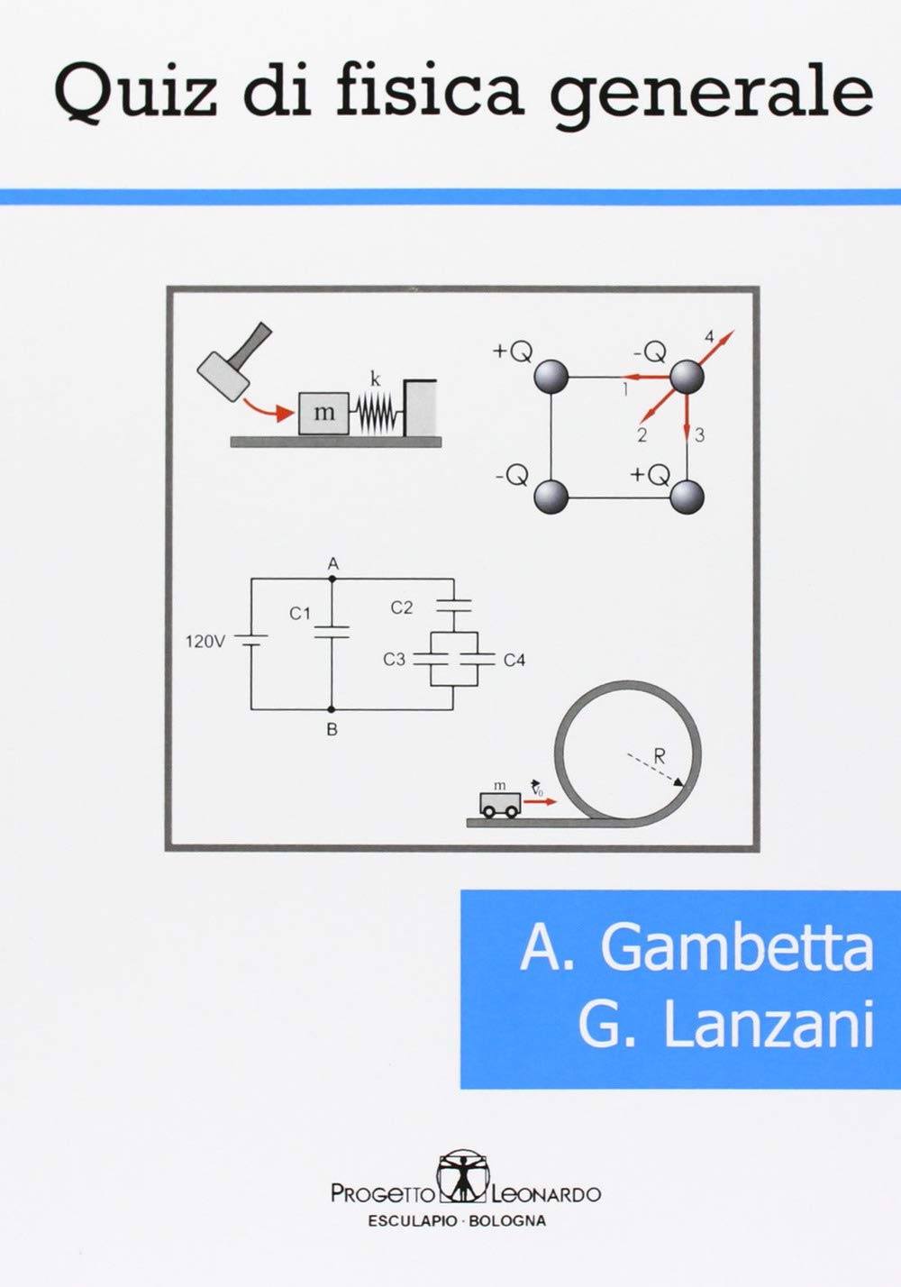 Quiz di Fisica Generale book