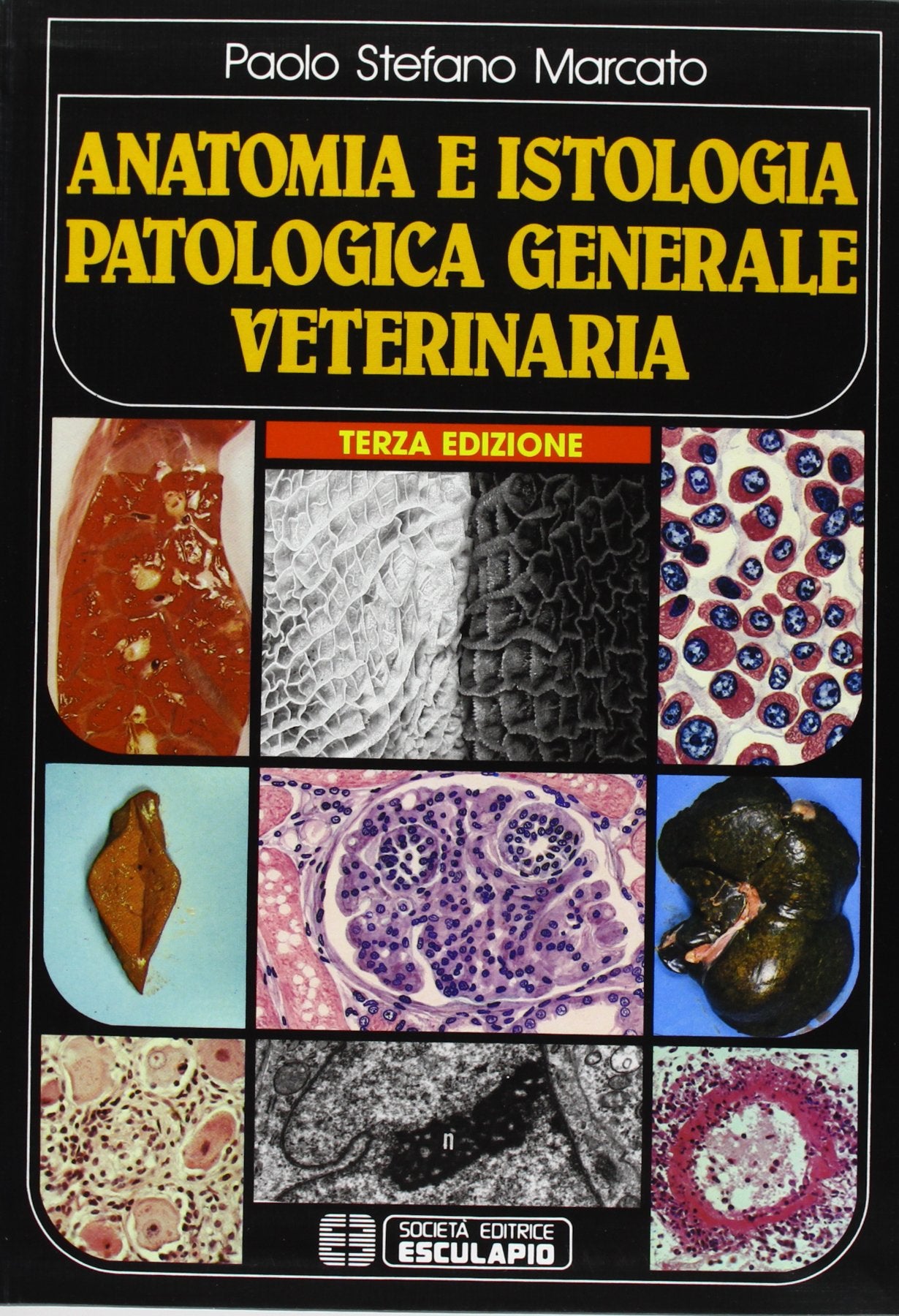 Anatomia e istologia patologica generale. Veterinaria Medicine