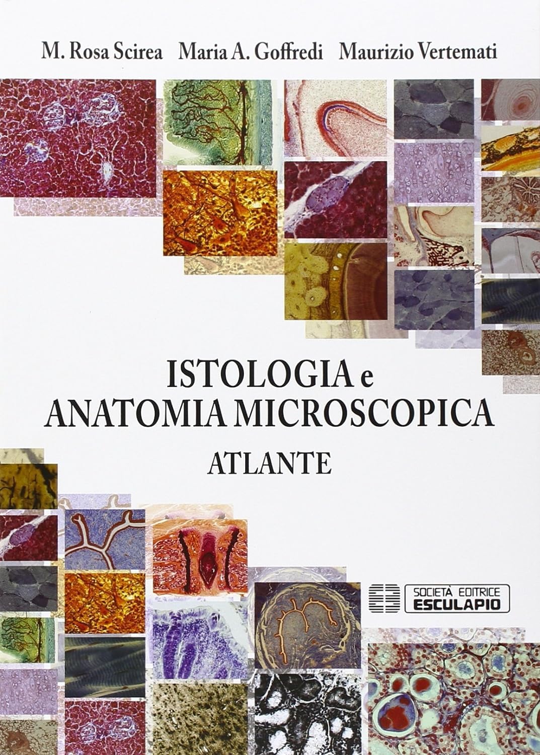 Istologia e anatomia microscopica. Atlante Medicine