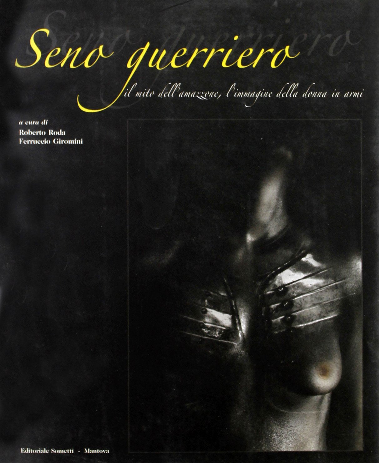 Seno guerriero Contemporary literature