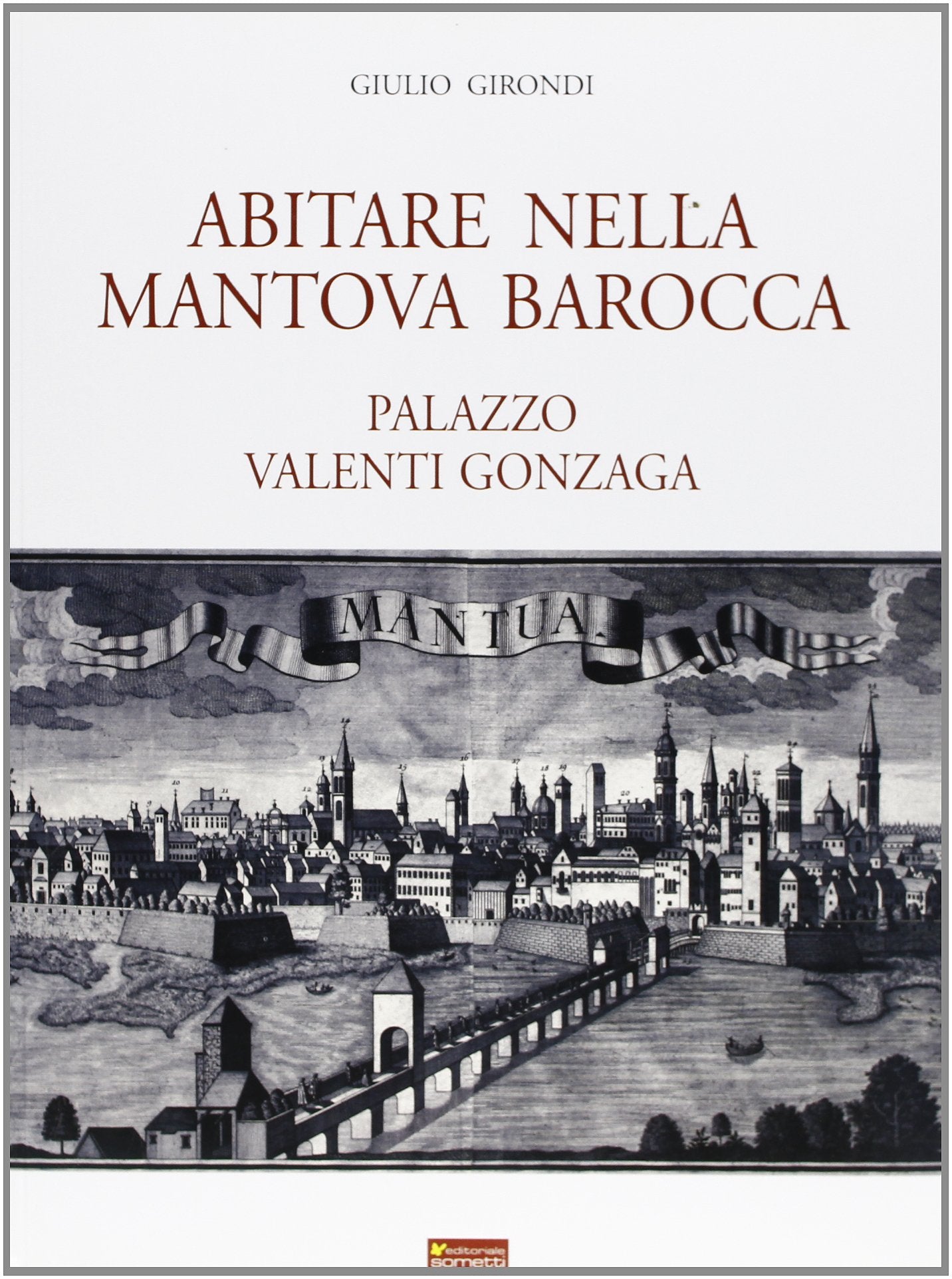 Abitare nella Mantova barocca. Palazzo Valenti Gonzaga book