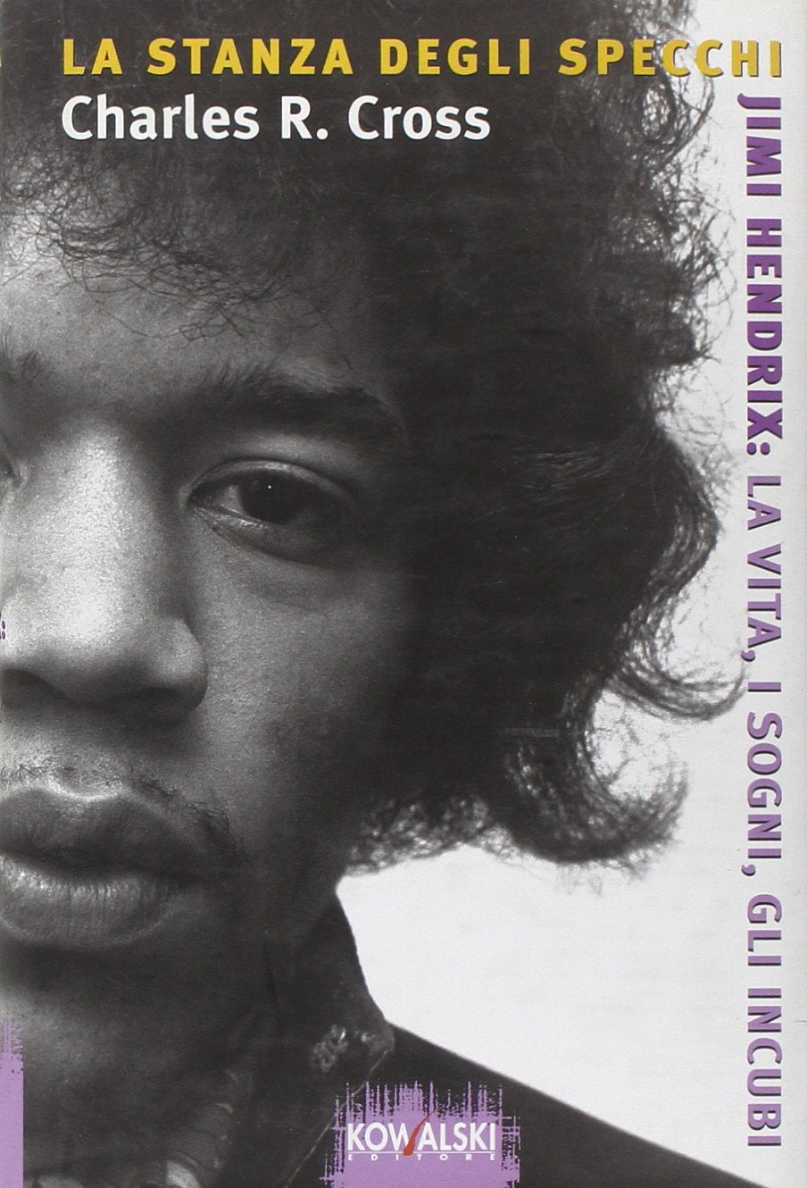 La stanza degli specchi. Jimi Hendrix: la vita, i sogni, gli incubi book