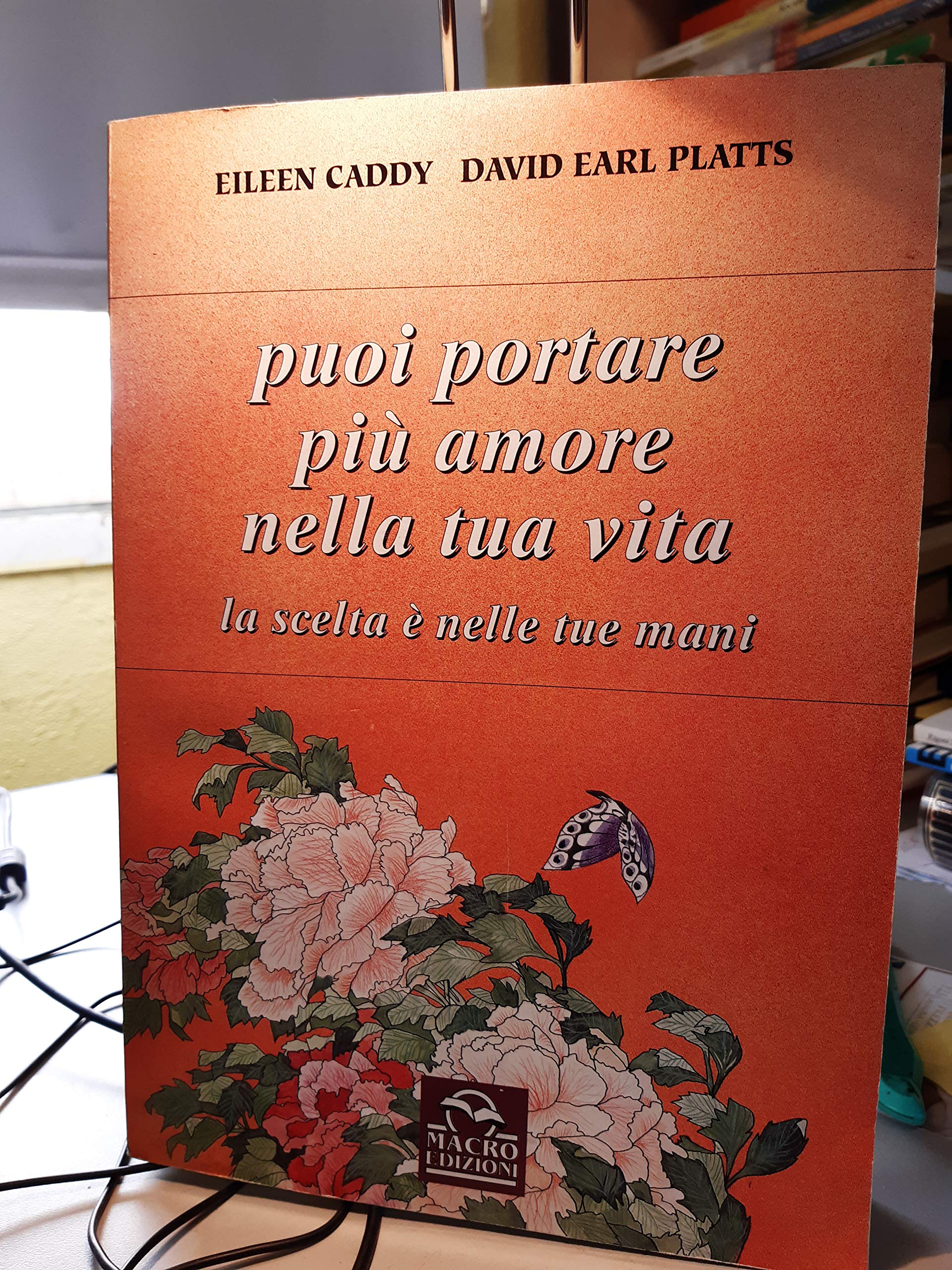 Puoi portare più amore nella tua vita. La scelta dipende da te book