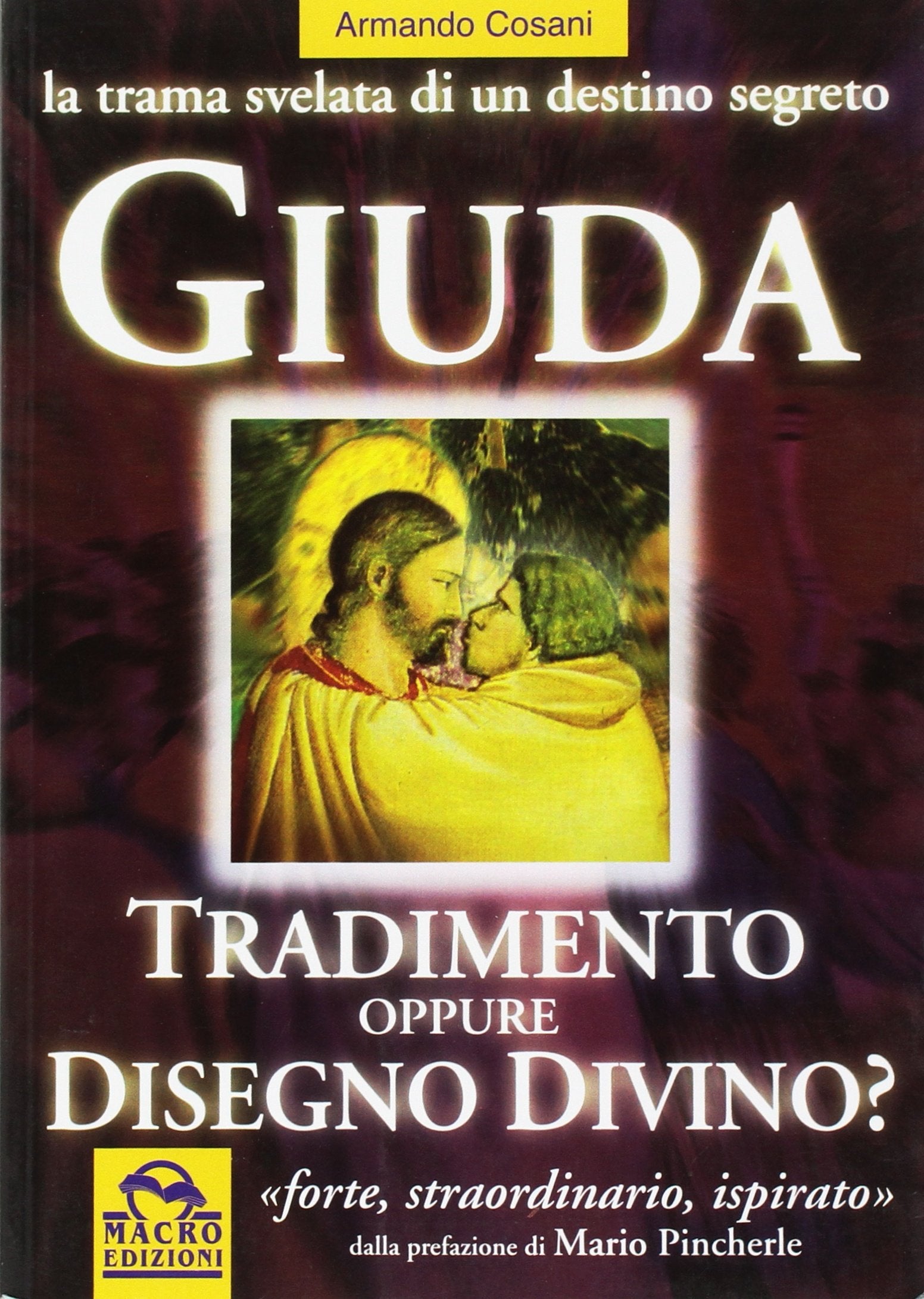 Giuda. Fu tradimento o disegno divino? La trama svelata di un destino segreto book