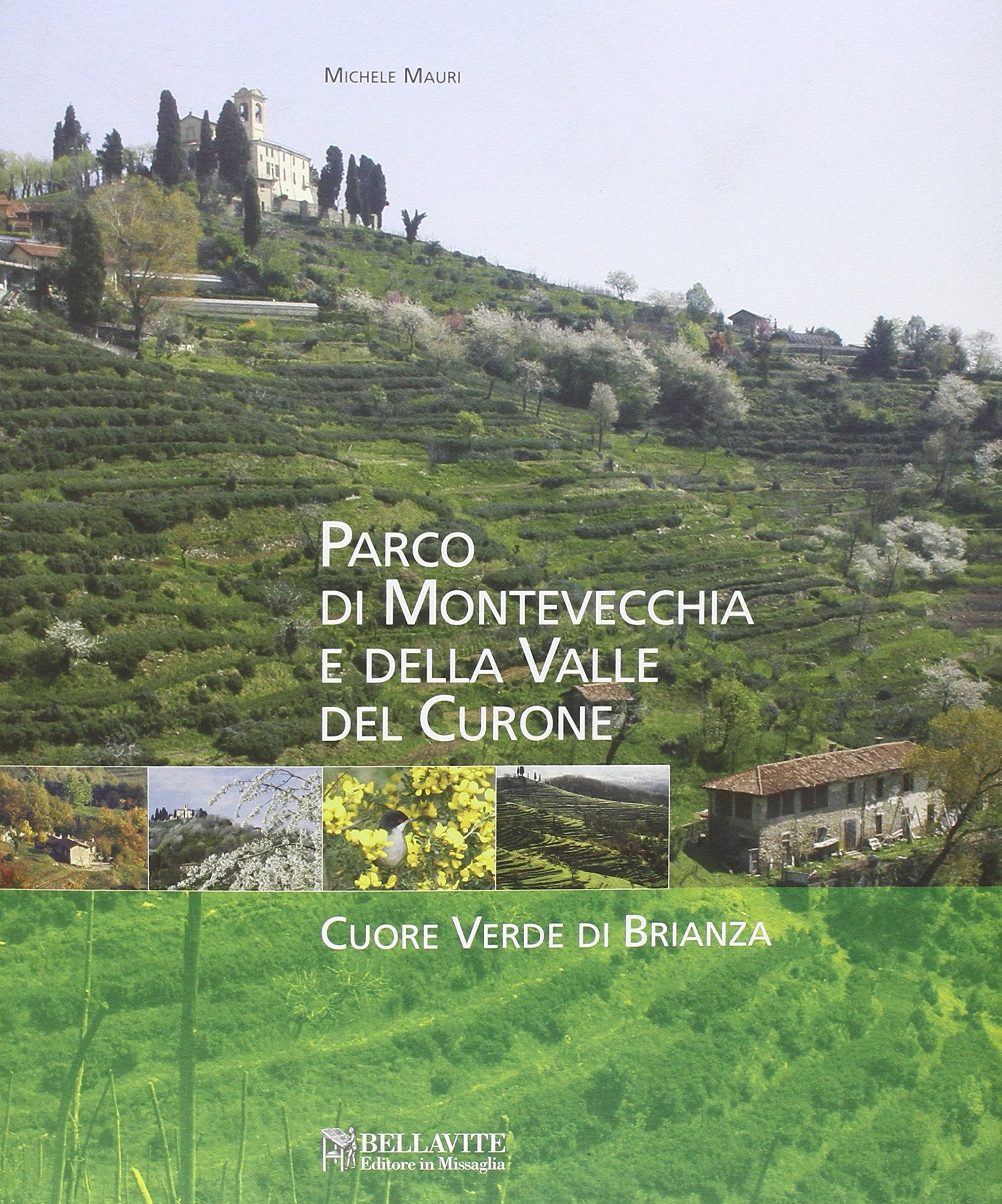 Parco di Montevecchia e della valle del Curone. Cuore verde di Brianza (Vivere il territorio) Leisure, Home & Garden