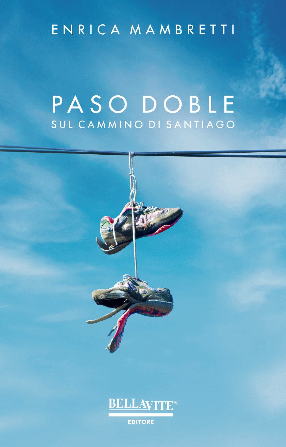 Paso doble. Sul cammino di Santiago book