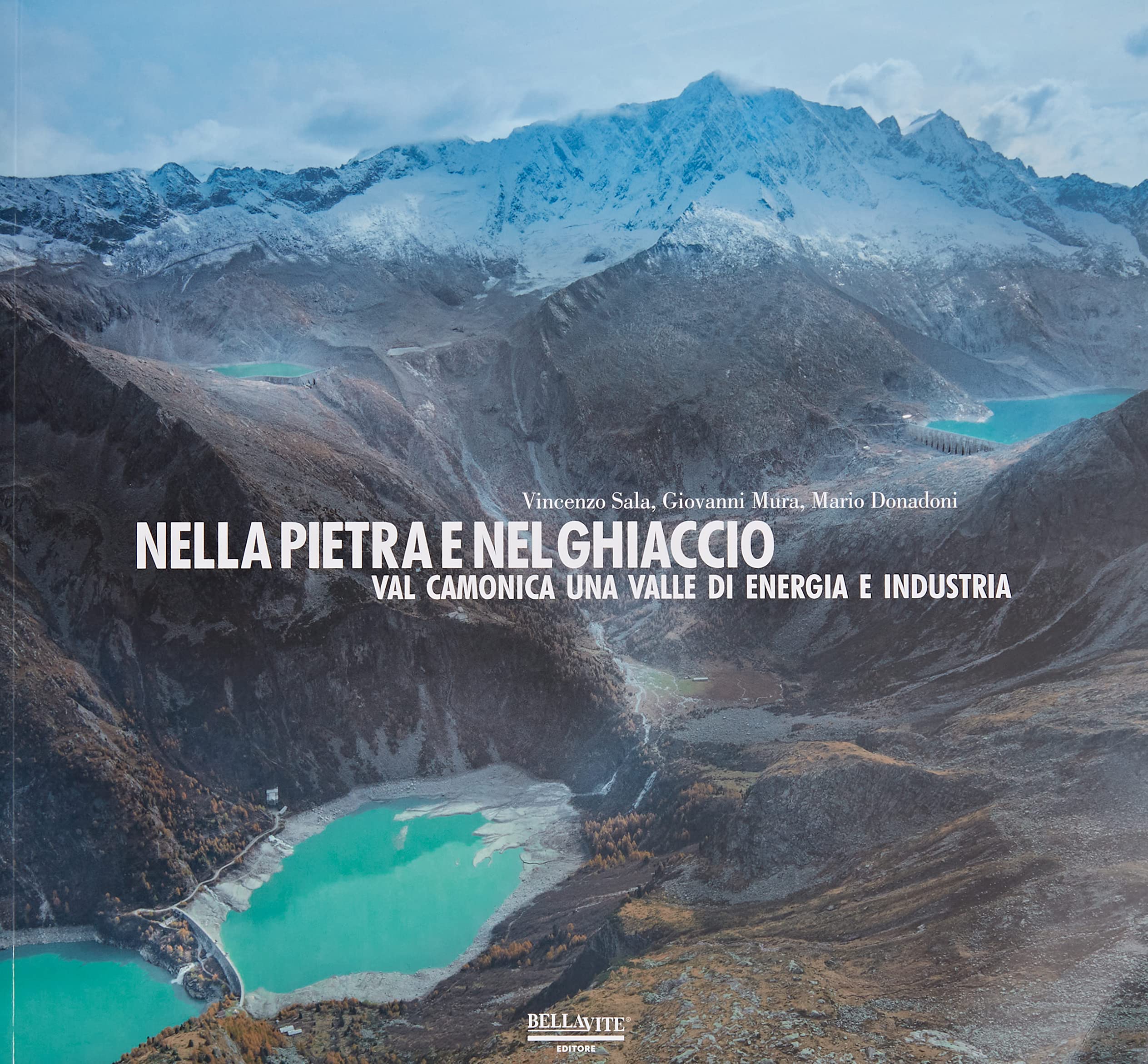 Nella pietra e nel ghiaccio. Val Camonica una valle di energia e industria book