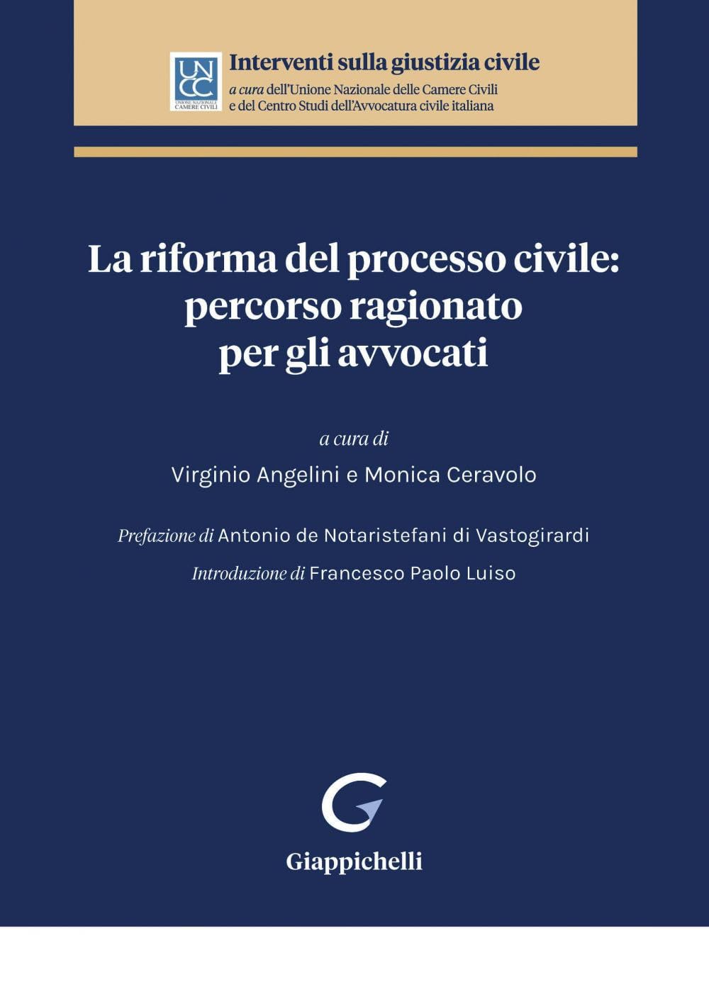 La riforma del processo civile: percorso ragionato per gli avvocati (Interventi sulla giustizia civile) Law