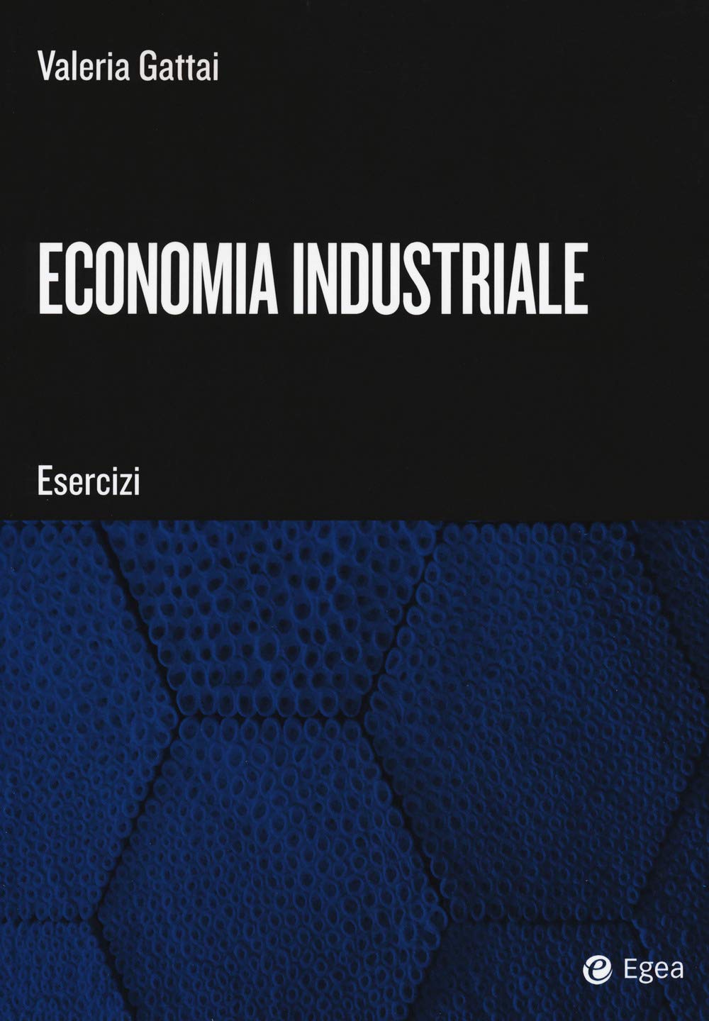 Economia industriale. Esercizi book